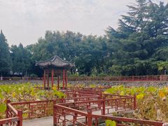 -保定市动物园