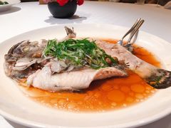 树子蒸龙虎斑-欣叶食艺轩