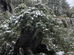 -梭布垭石林景区