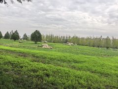 -汉长安城未央宫国家考古遗址公园