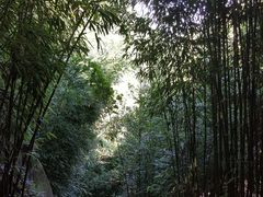-井空里大峡谷