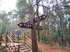 -青龙山国家森林公园
