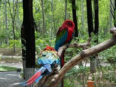 -北京野生动物园