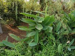 -艾溪湖湿地公园