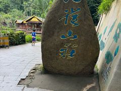 -西双版纳原始森林公园