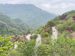 -四明山国家森林公园