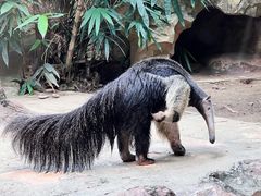 -长鹿旅游休博园