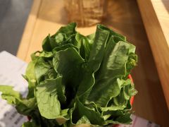 -守柴炉烤鸭(科华中路王府井店)