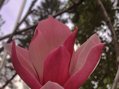 -荔湾湖公园