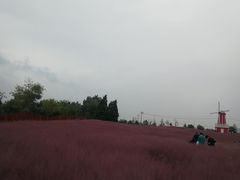 -羊亭河湿地公园