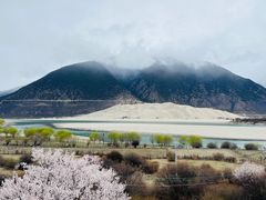 -佛掌沙丘
