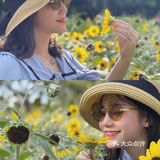 市中心的“向日葵”花田真的是🌻吗？