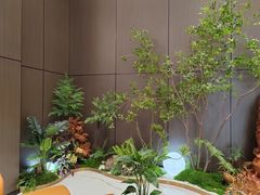 -大连湾旭日·家宴·海肠捞饭(马栏广场店)