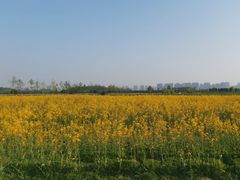 -汉长安城未央宫国家考古遗址公园