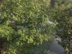-长兴太湖图影湿地文化园