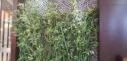 -木北造型