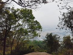 -火炉山森林公园