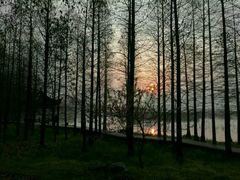 -艾溪湖湿地公园