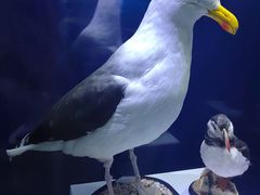 -重庆自然博物馆(新馆)