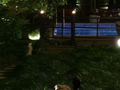 -普陀山雷迪森庄园