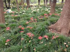 -白塘生态植物园