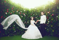 -韩国艺匠ARTIZ STUDIO(博览中心店)