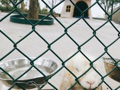 -上海滴水湖皇冠假日酒店