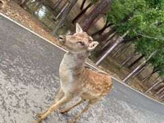 -秦皇岛野生动物园