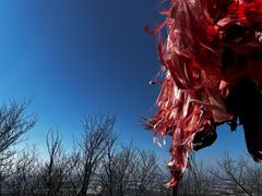 -帽儿山国家森林公园