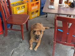 -前门张记涮肉(前门店)