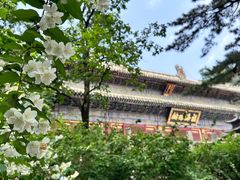 -潭柘寺景区