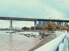 -中澳友谊花园