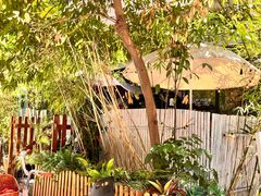 -咖法森林·咖啡  酒吧(天河店)