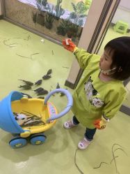 -萌宠家互动乐园