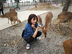 -鹿境梅花鹿生态园区