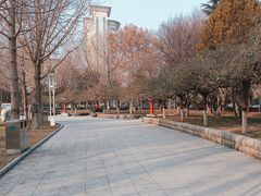 -西清公园
