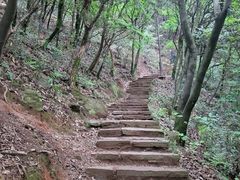 -杭州半山国家森林公园