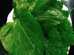 iphone_upload_pic-千纸鹤嫩汁烤肉(西大直街店)