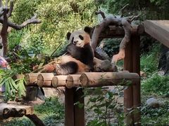 -广州长隆野生动物世界
