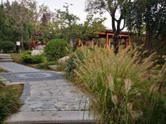 -思念果岭悦温泉