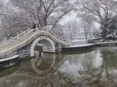-洛阳市隋唐城遗址植物园