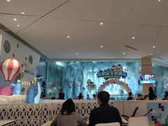 -帝企鹅自助餐厅•儿童岛•真企鹅(长隆企鹅酒店)