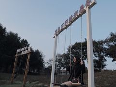 -大塘金香草谷