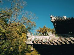 -潭柘寺景区