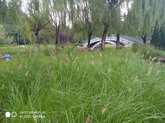 -莫子山公园