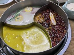 -青瓷火锅料理(西单大悦城店)