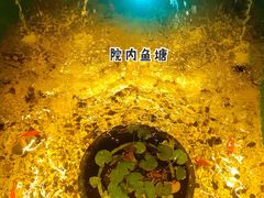 -锦上中式酒馆(南内环店)
