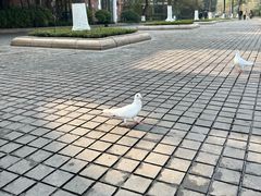 -成都南湖公园