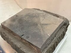 -金钉子远古世界景区