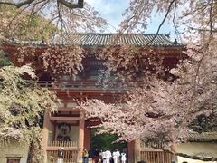 -醍醐寺